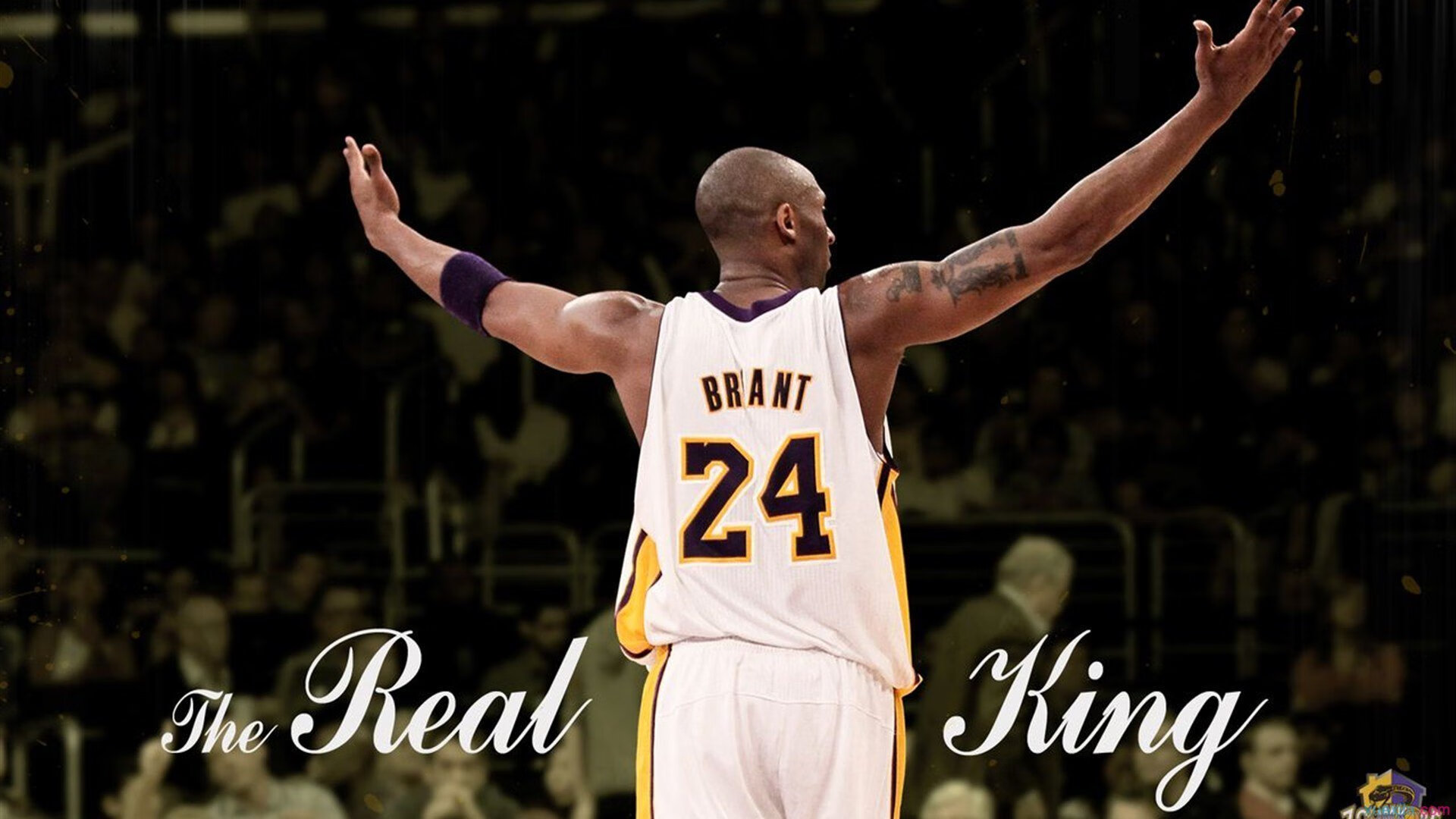 开云体育平台-_国际青少年红土大师赛：新人崭露头角的舞台_，红土大师赛冠军数量排名